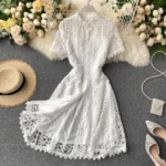 DR224 – French retro hollow lace short-sleeved dress (7)