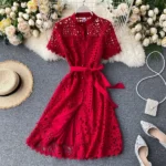 DR224 – French retro hollow lace short-sleeved dress (7)