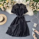 DR224 – French retro hollow lace short-sleeved dress (7)
